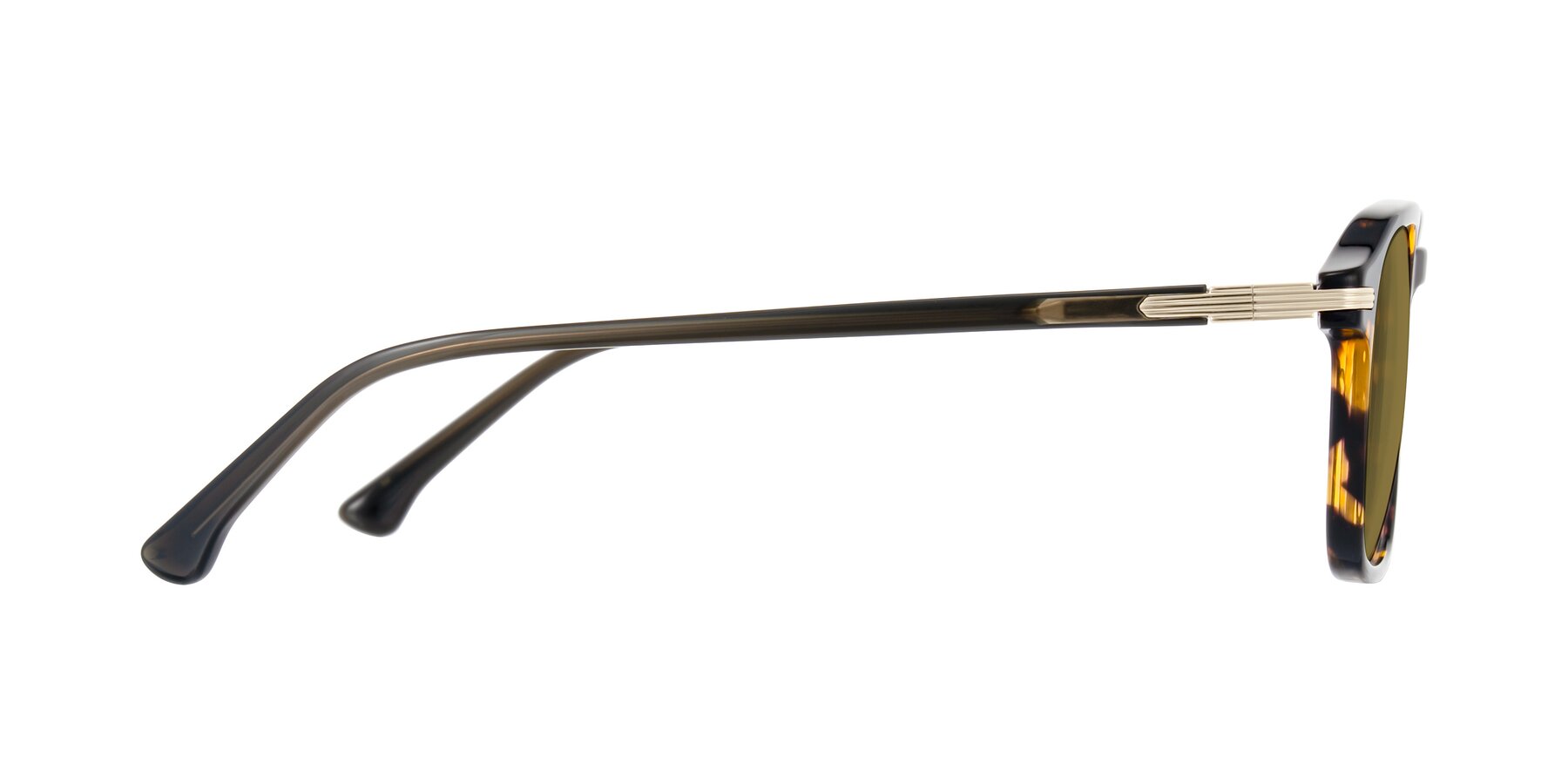 Side of Tlaho in Tortoise with Brown Polarized Lenses