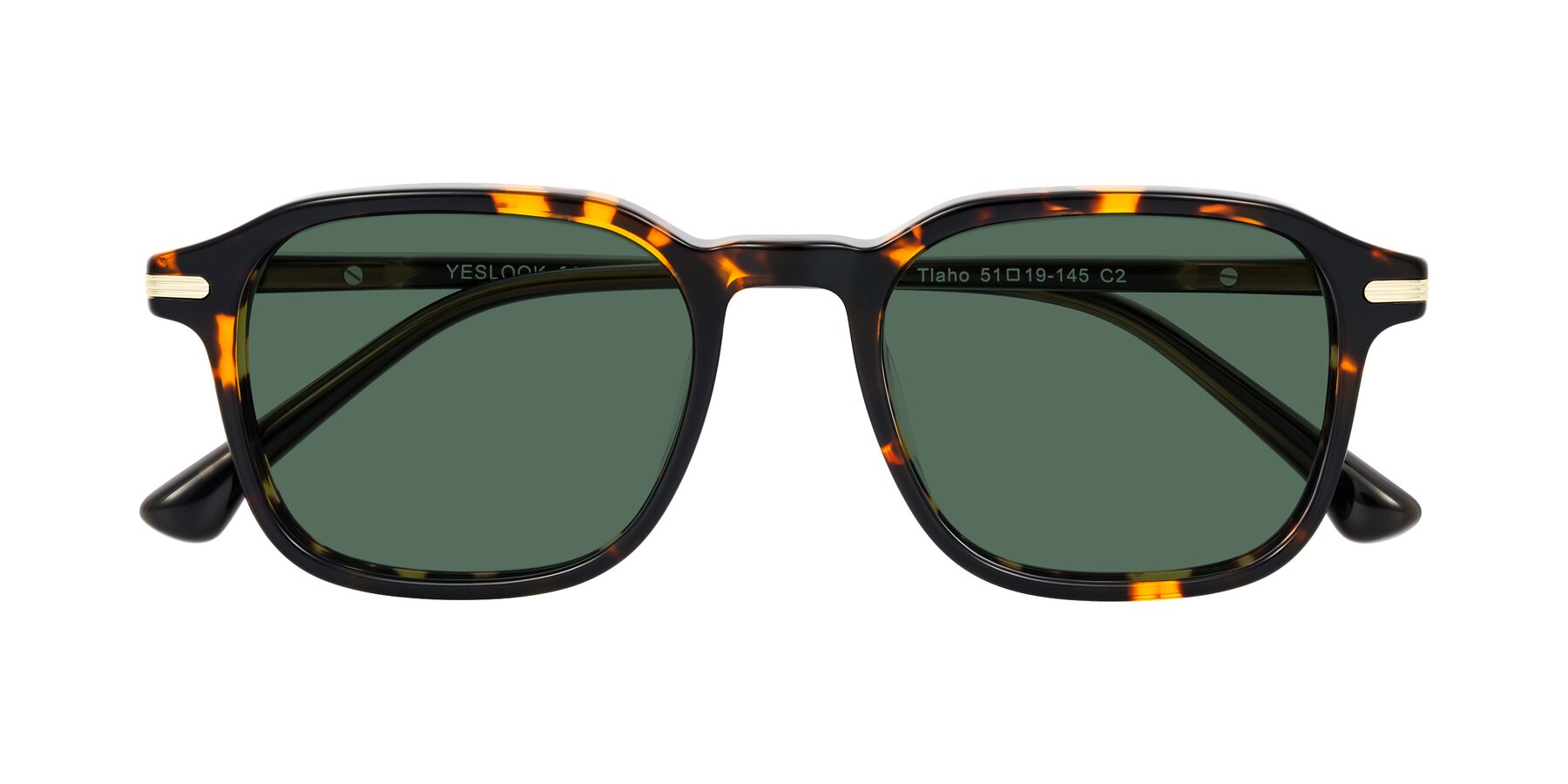 Folded Front of Tlaho in Tortoise with Green Polarized Lenses