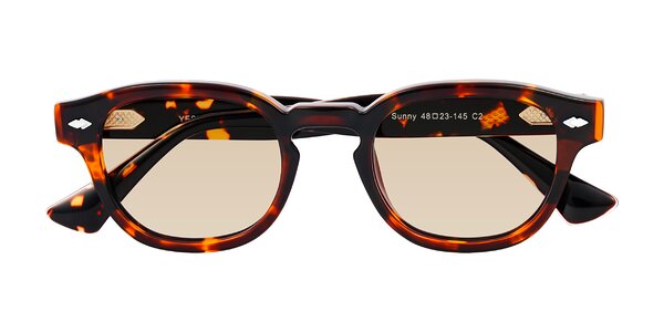 Front of Sunny in Tortoise