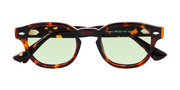 Front of Sunny in Tortoise