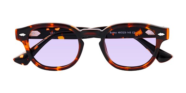 Front of Sunny in Tortoise
