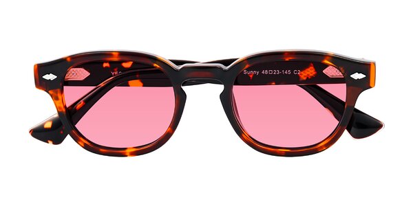Front of Sunny in Tortoise