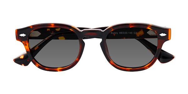Front of Sunny in Tortoise