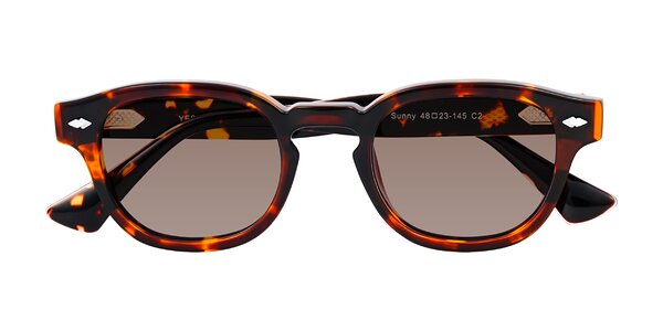 Front of Sunny in Tortoise