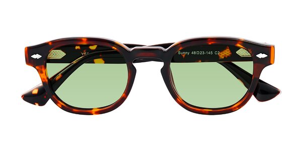 Front of Sunny in Tortoise