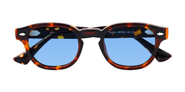 Front of Sunny in Tortoise