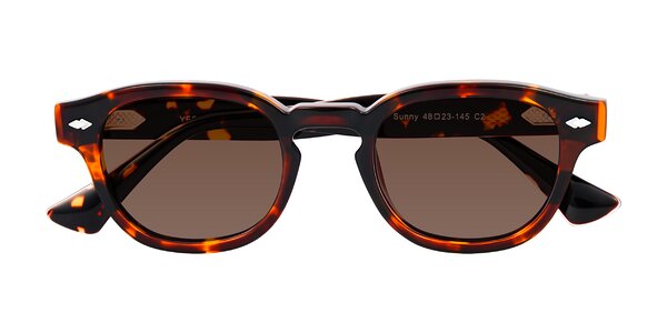Front of Sunny in Tortoise