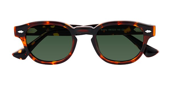 Front of Sunny in Tortoise