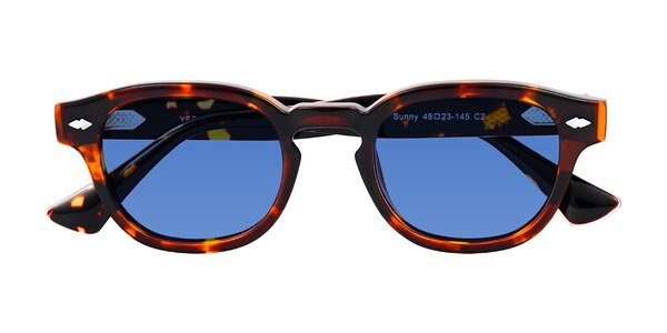 Front of Sunny in Tortoise