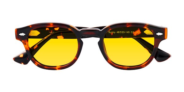 Front of Sunny in Tortoise
