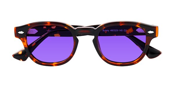 Front of Sunny in Tortoise