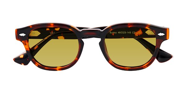 Front of Sunny in Tortoise