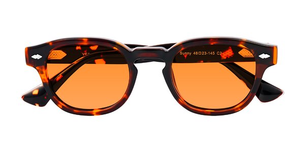 Front of Sunny in Tortoise