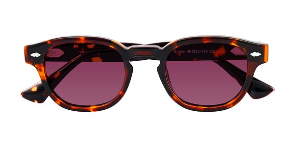 Front of Sunny in Tortoise