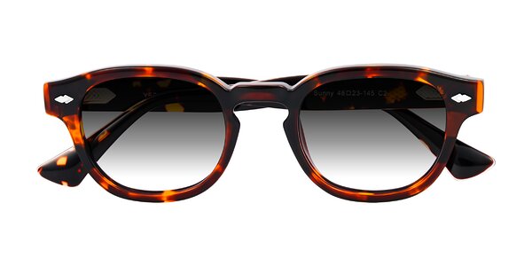 Front of Sunny in Tortoise