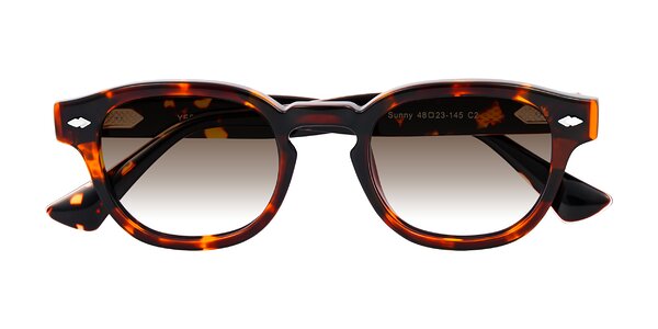 Front of Sunny in Tortoise