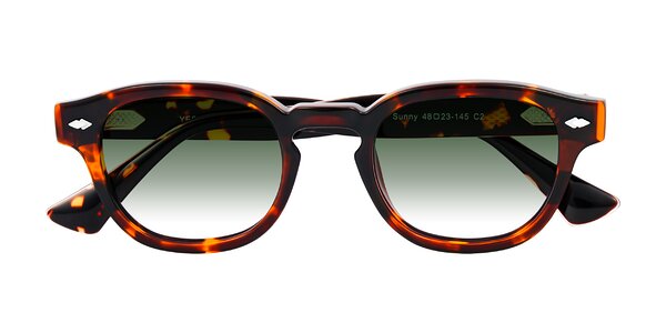 Front of Sunny in Tortoise