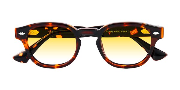 Front of Sunny in Tortoise