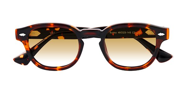 Front of Sunny in Tortoise