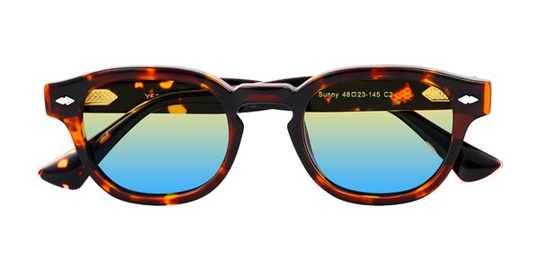 Front of Sunny in Tortoise