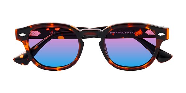 Front of Sunny in Tortoise