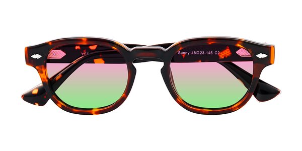 Front of Sunny in Tortoise