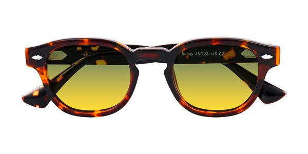 Front of Sunny in Tortoise