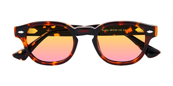 Front of Sunny in Tortoise