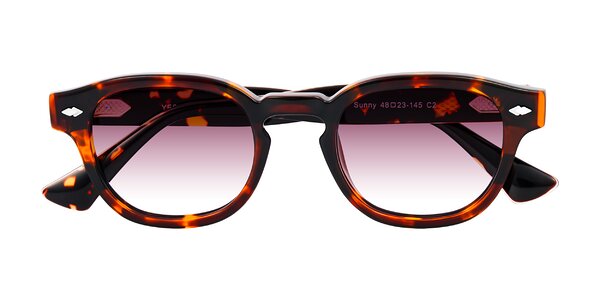 Front of Sunny in Tortoise