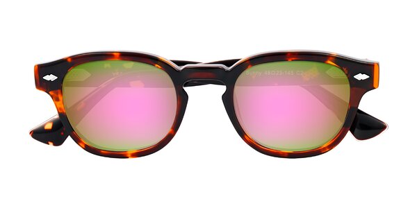 Front of Sunny in Tortoise