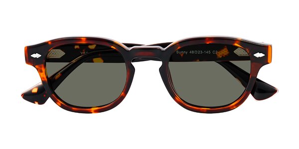 Front of Sunny in Tortoise