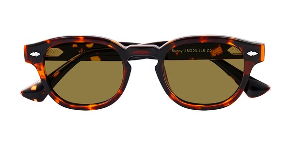 Front of Sunny in Tortoise