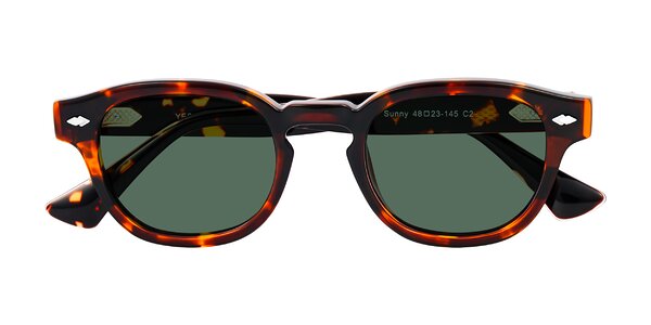 Front of Sunny in Tortoise