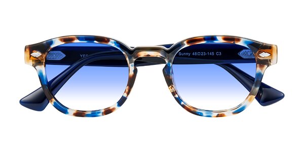 Front of Sunny in Jellyfish Tortoise