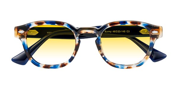 Front of Sunny in Jellyfish Tortoise