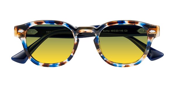 Front of Sunny in Jellyfish Tortoise