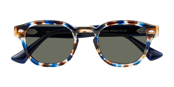 Front of Sunny in Jellyfish Tortoise