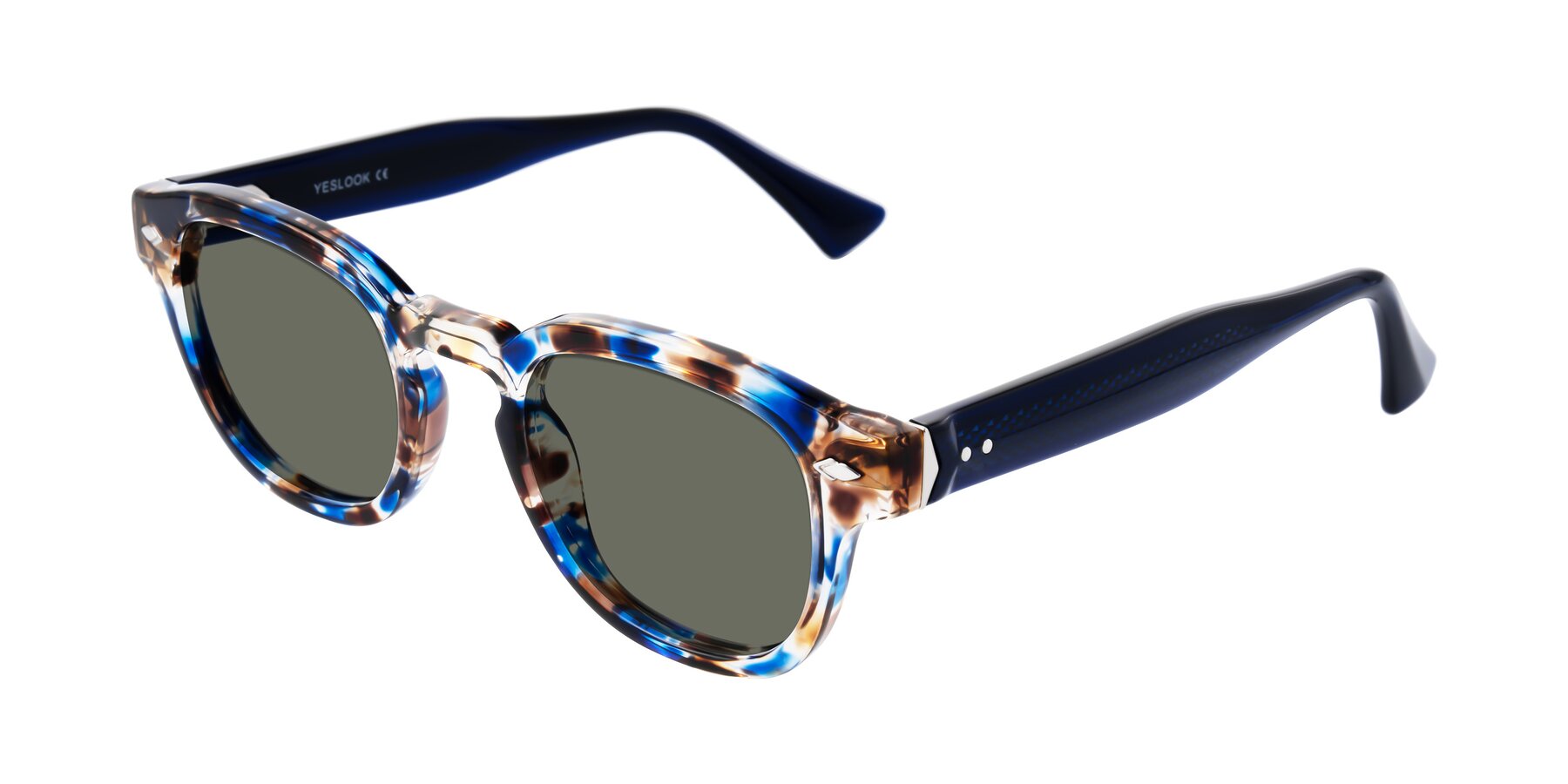 Angle of Sunny in Jellyfish Tortoise with Gray Polarized Lenses