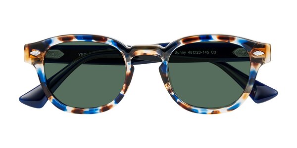 Front of Sunny in Jellyfish Tortoise