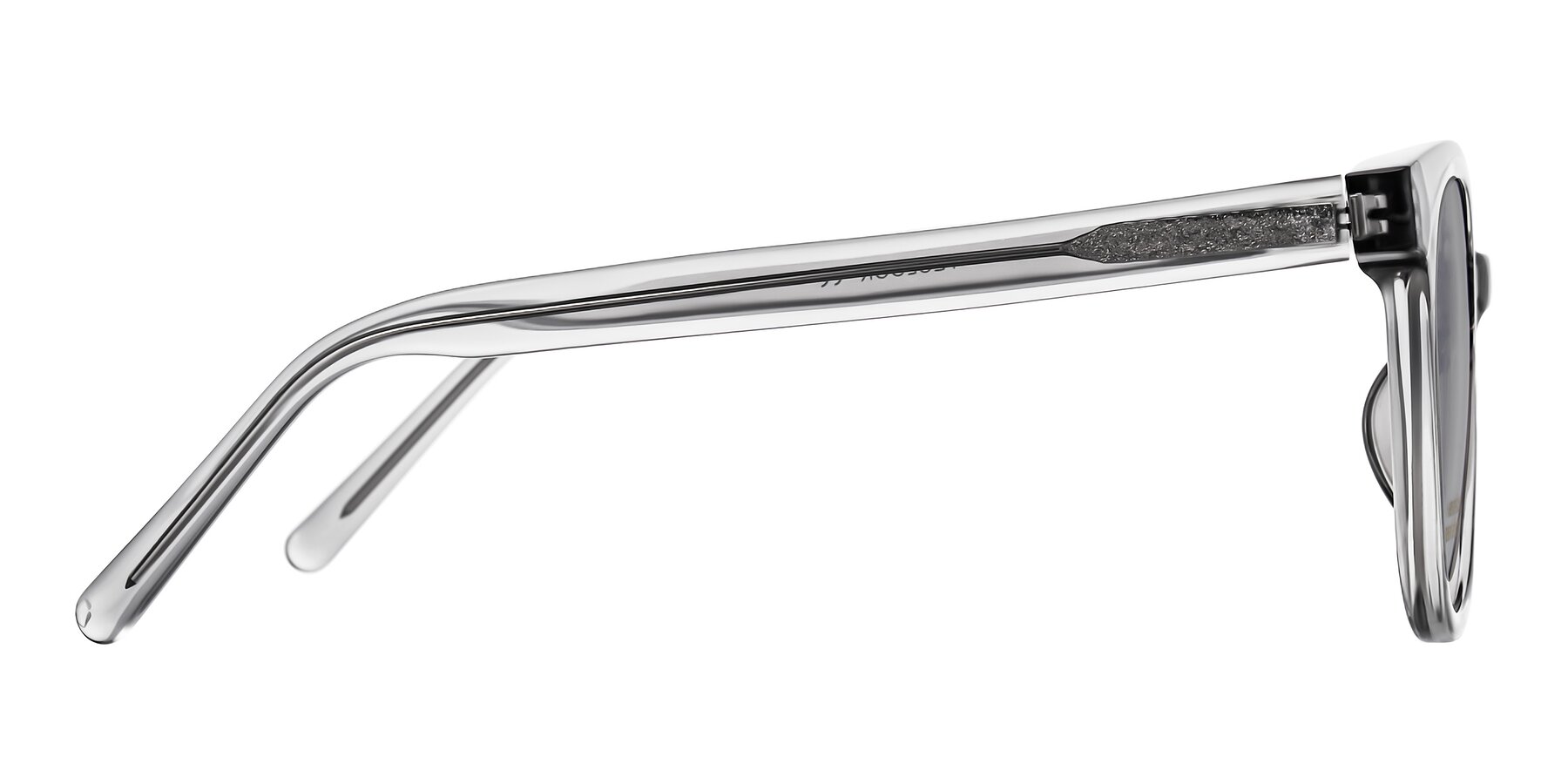 Side of Jeromme in Transparent Gray with Light Gray Tinted Lenses
