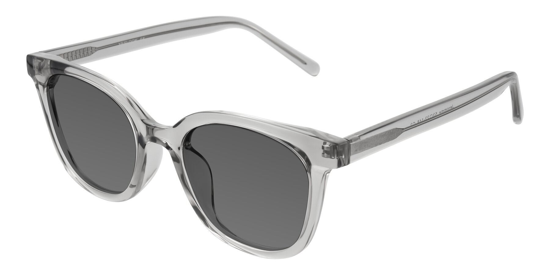 Angle of Jeromme in Transparent Gray with Medium Gray Tinted Lenses