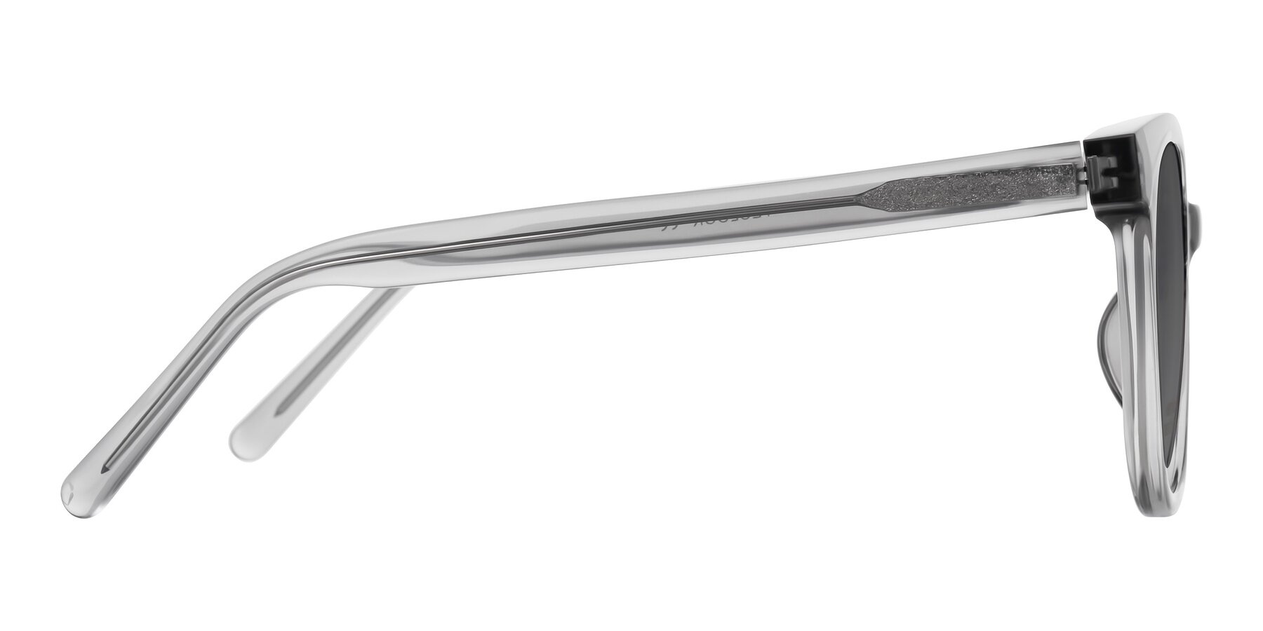 Side of Jeromme in Transparent Gray with Medium Gray Tinted Lenses