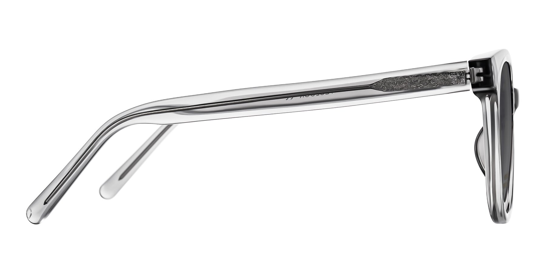 Side of Jeromme in Transparent Gray with Medium Gray Tinted Lenses