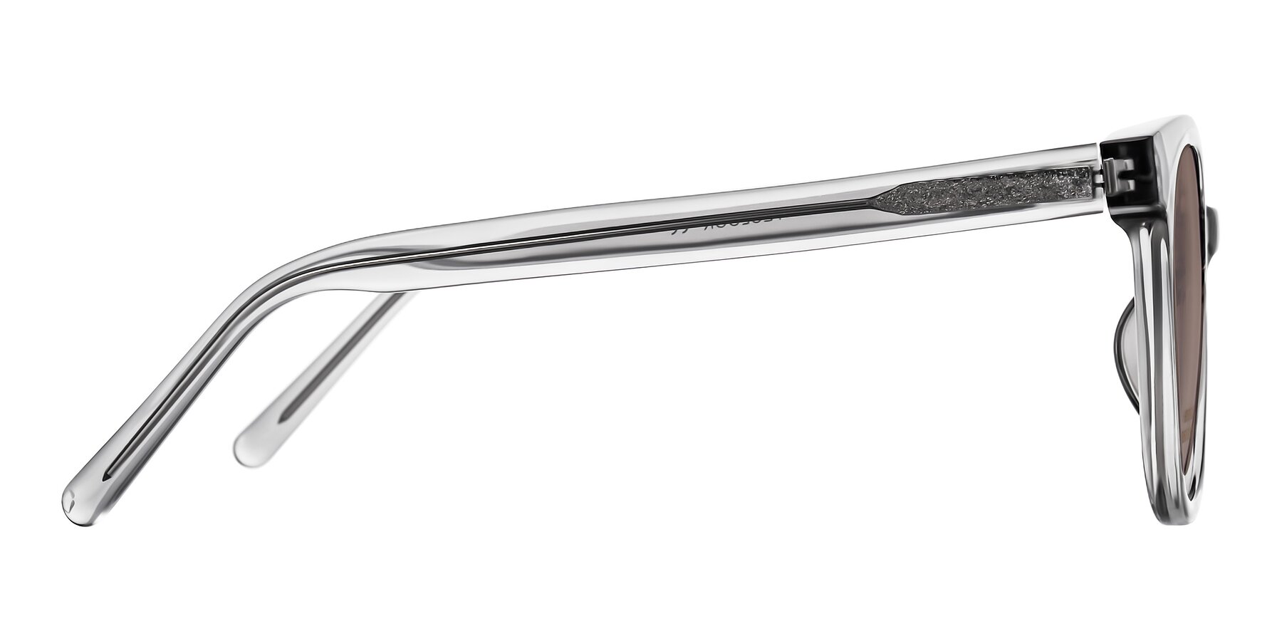 Side of Jeromme in Transparent Gray with Medium Brown Tinted Lenses