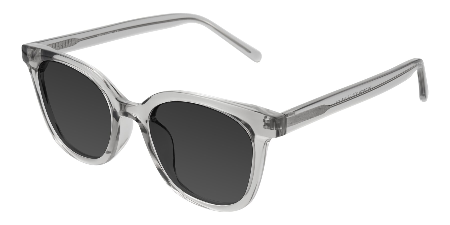 Angle of Jeromme in Transparent Gray with Gray Tinted Lenses