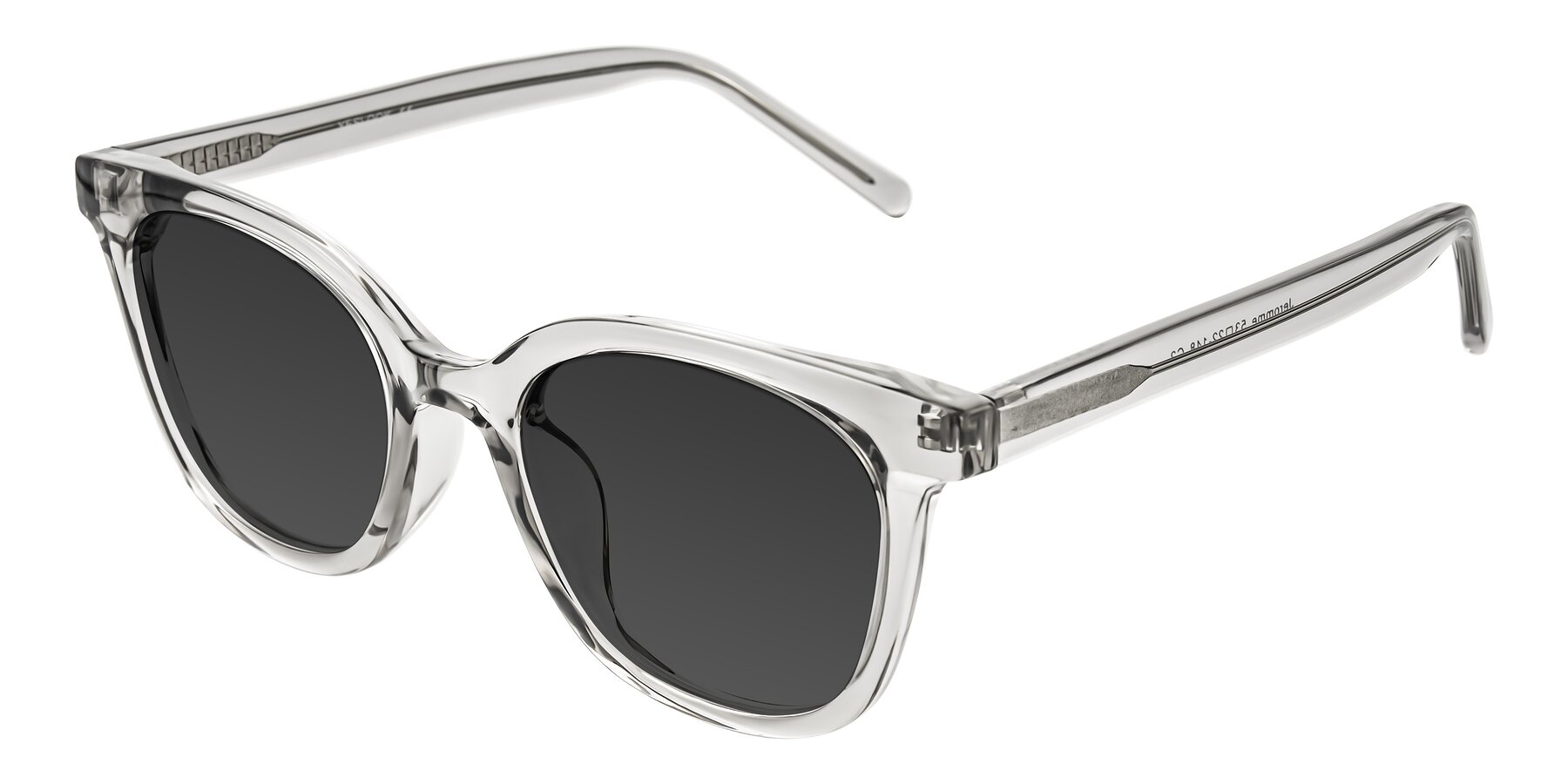 Angle of Jeromme in Transparent Gray with Gray Tinted Lenses