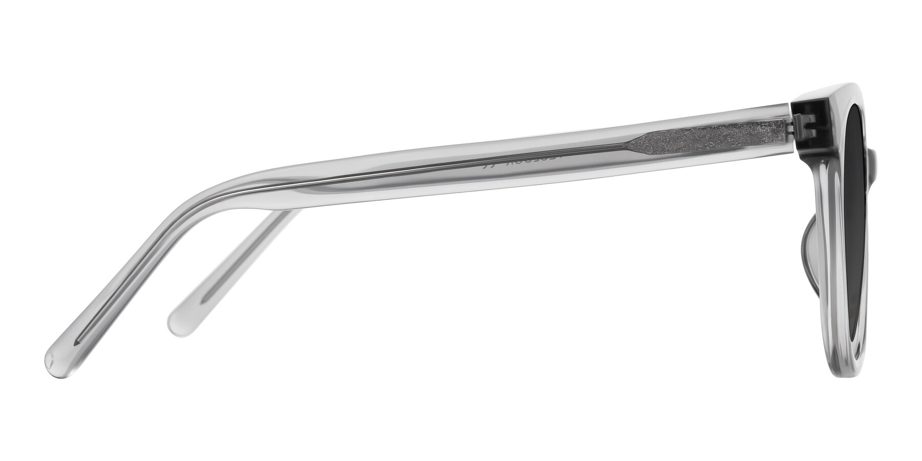 Side of Jeromme in Transparent Gray with Gray Tinted Lenses
