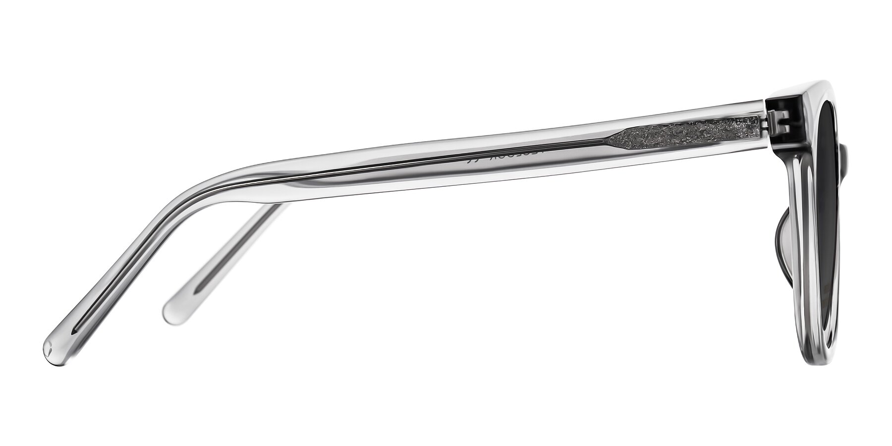 Side of Jeromme in Transparent Gray with Gray Tinted Lenses