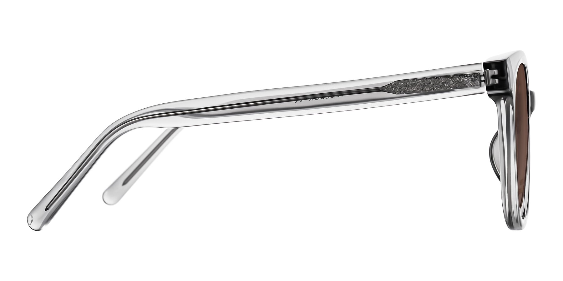 Side of Jeromme in Transparent Gray with Brown Tinted Lenses