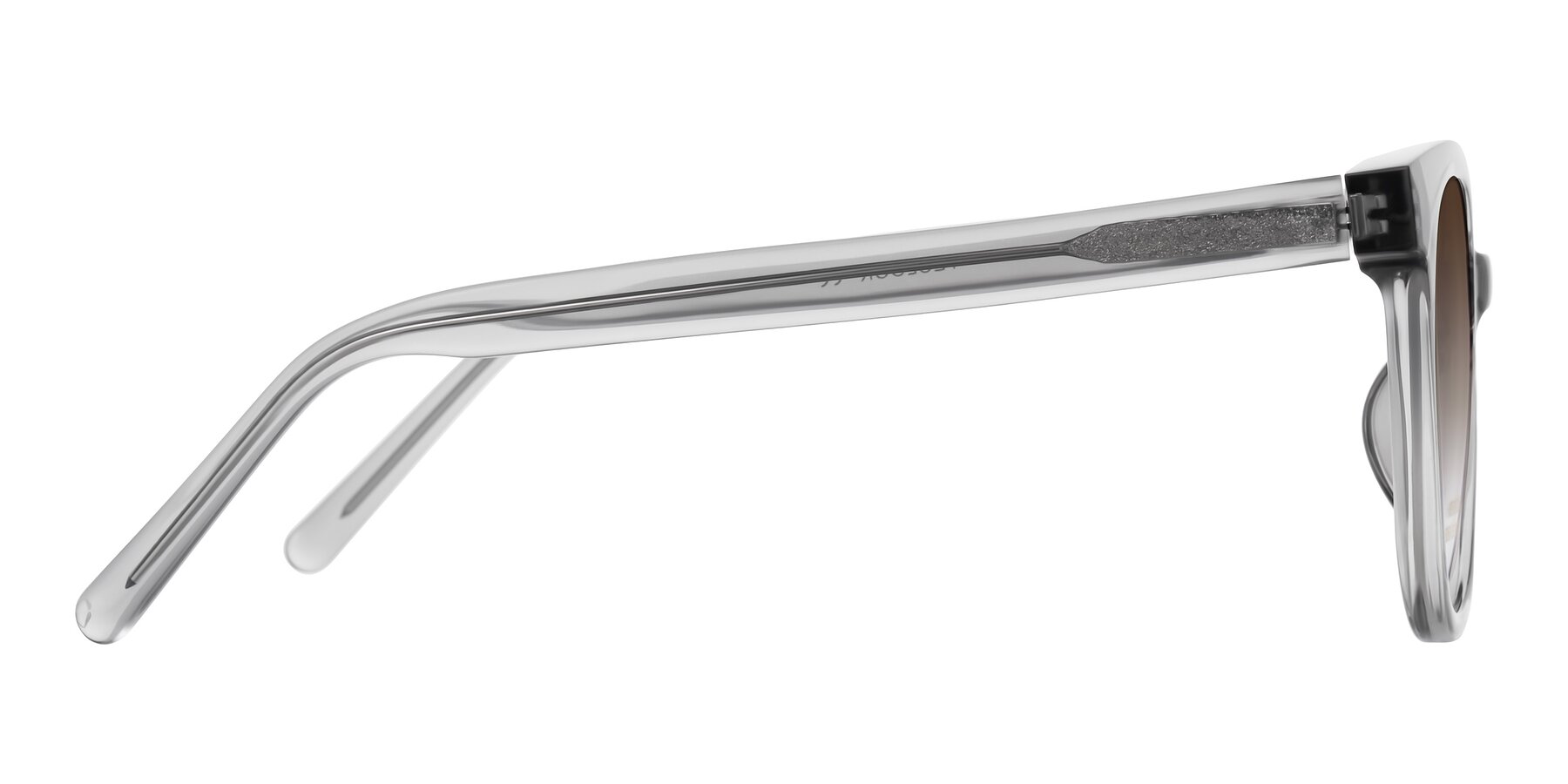 Side of Jeromme in Transparent Gray with Brown Gradient Lenses
